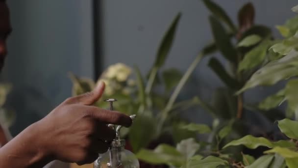 Черный Офисный Работник Распыляет Пресную Воду Растения Растущие Горшках Экологически — стоковое видео
