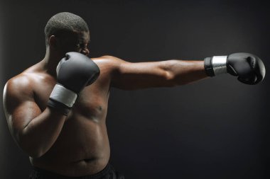 Siyah kaslı boksör eğitiminin koyu arkaplana karşı yan görünüm portresi
