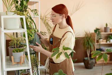 Evde yeşil bitkilerle ilgilenen genç bir kadının yan görünüm portresi ve su kabı fotokopi alanı