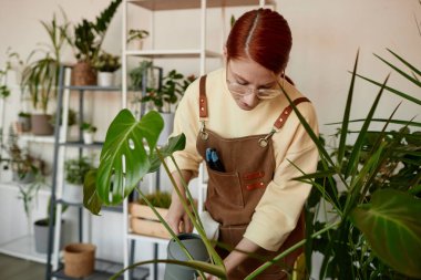 Evde yeşil bitkilerle ilgilenen kızıl saçlı genç bir kadının belden yukarı portresi ve su kabı fotokopi alanı.
