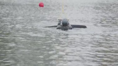 Kablo parkında wakeboard çalışırken, erkek wakeboardcunun ip tutarken ve sudan yükselirken arka plan görüntüsü