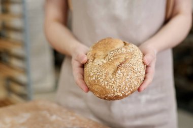 Fırında tohumla süslenmiş kepekli ekmek somununu tutan genç bir kadın, kopyalama alanı.