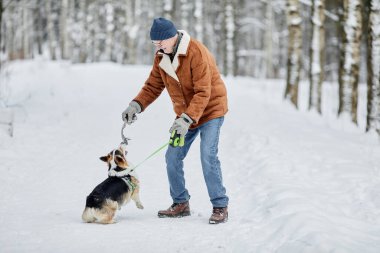 Kış parkında köpekle oynayan mutlu kıdemli adam.