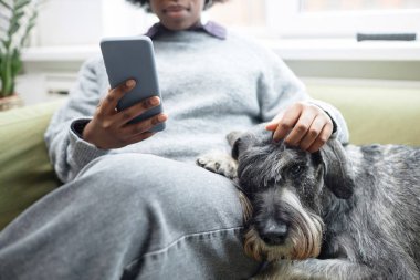 Kanepede köpekle rahatlayan ve akıllı telefondan sosyal medyayı karıştıran bir kadın, kopyalama alanı