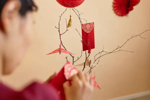 stock image Close up of Asian woman decorating tree with paper lanterns and red envelopes at home as Chinese New Year tradition, copy space Have overflowing abundance every year