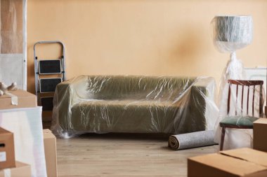 Uzun, rahat, selofan kaplı kanepe, yeni bir ev ya da dairenin geniş oturma odasının ortasında duvarın yanında duruyordu.