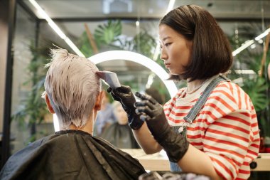 Side view portrait of young Asian hairstylist applying hair dye or bleach to male client in beauty salon clipart