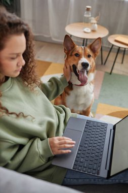 Kanepede dizüstü bilgisayar kullanan bir kızla kameraya bakan mutlu köpeğin dikey portresi.