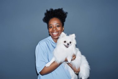 Beyaz Pomeranian köpeği olan genç kadın veteriner portresi. Gülümseyen veterinerin mavi arka planda izole edilmiş kameraya, kamera flaşı, fotokopi alanı...