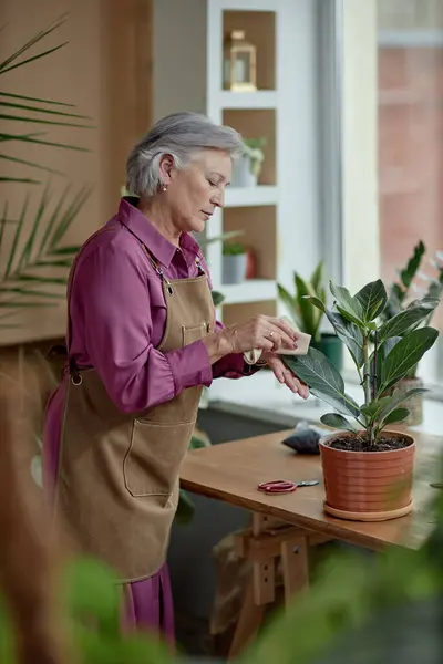 stock image Vertical side view portrait of grey haired woman caring for plants at home