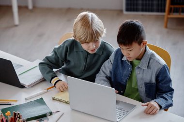 Okuldaki ortak çalışma sırasında laptopta çalışırken eşleşen iki genç erkek öğrenci.