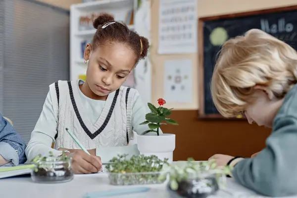 stock image Portrait shot of young ethnic girl engaged in writing task describing growth of flower while sitting at desk in classroom during natural science lesson