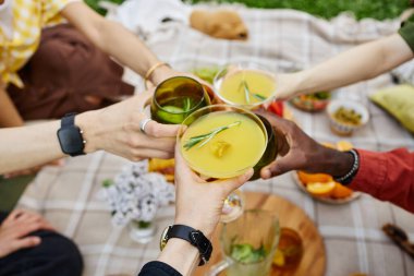 Öğleden sonra pikniğini kutlayan arkadaşlarımızın hava manzarası, şifalı otlar ve buzlarla süslenmiş ferahlatıcı içeceklerle dolu bardaklar. Piknik battaniyesine serilmiş çeşitli atıştırmalıklar.