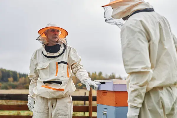 stock image Medium full shot of middle aged male apiarist against grey autumn sky in protective bee suit talking to fellow farmer while working around wooden hive at apiary farm, copy space