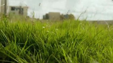 Siyah kauçuk botlar giyen, bulutlu gökyüzü ve arka planda kentsel manzara ile çırpınan yeşil çimenler üzerinde yürüyen, tanınmayan insanların düşük kesimi.