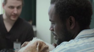 Modern klinikte veterineri ziyaret eden tilki teriyeri olan zenci bir evcil hayvan sahibi. Veteriner, danışma sırasında köpek pasaportuna pul yapıştırıyor.