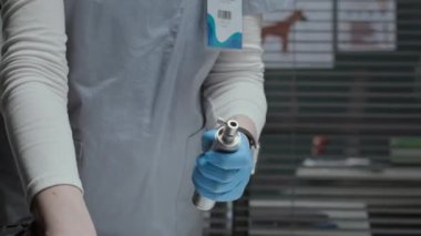 Veteriner önlüğü, mavi azot eldiveni ve yüz maskesi takan ve klinik ortamdaki hayvan muayenesi için otoskop hazırlayan bir veteriner fotoğrafı.