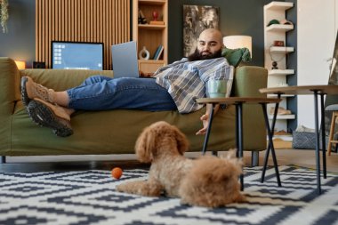 Kucağında dizüstü bilgisayarla koltuğa yaslanmış bir adam, rahat oturma odasında çalışıyor modern mobilyalar, kitaplık ve sevimli bir köpek.