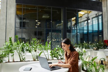 Çağdaş ofis binasındaki kafe masasında çalışırken dizüstü bilgisayar planlama stratejisinde başarılı bir kadın. Boşluğu kopyala