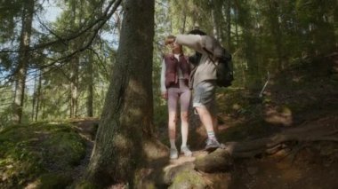 Irklar arası yürüyüşçülerin uzun yeşil ağacın yanında durup sohbet ederken yemyeşil orman manzarasının tadını çıkardığı bir sahne.