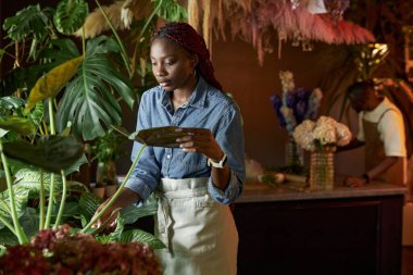 Düşük ışıklandırmalı, fotokopi alanı olan çiçekçide çalışırken yeşil bitkileri teftiş eden Afrikalı Amerikalı genç bir kadının yan görünümü