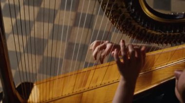 Genç ve yetenekli arpçının, loş ışıklı odada, damalı zeminde ahşap arp eşliğinde karışık bir melodi çaldığı en iyi görüntü.