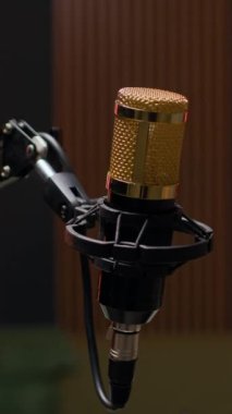 Dikey olarak, arka planda altın profesyonel mikrofon ve akustik panellerle modern podcast stüdyosunun çekimleri yok.