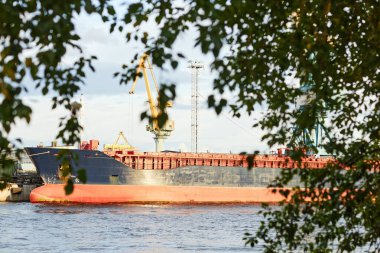 Rıhtımdaki sanayi gemisi güneş ışığında yeşil yaprakların arasından geçiyor, anlaşıldı.
