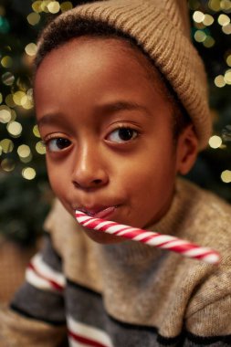 Vertical close up portrait of young African American boy holding candy cane in mouth with twinkling Christmas tree in background clipart