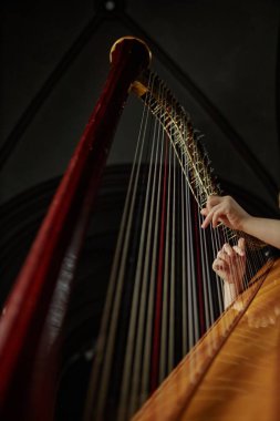 Kilisede ortaçağ müziğini fevkalade bir akustikle çalarken arp çalan bir kadının dikey düşük açılı çekimi.