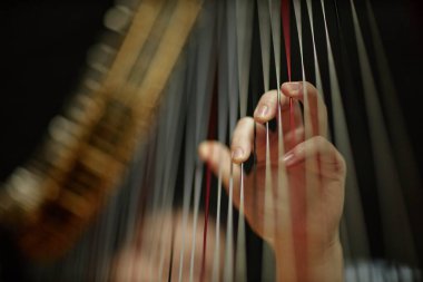 Sahnede büyüleyici bir melodi çalarken parmaklarıyla telleri koparan arp enstrümanı çalan kadın müzisyenin eline yaklaş, boşluğu kopyala