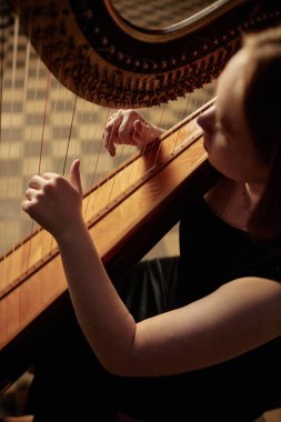 Yüksek açılı çekim, tanınmayan bayan müzisyenin büyüleyici melodisini arp çalarken, filarmoni salonunda müzik çalarken telleri usulca çekerken.