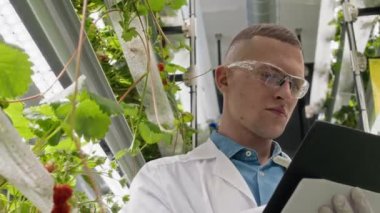 Beyaz tenli genç erkek tarım uzmanının düşük açılı görüntüsü. Emek ve gözlük uzmanı. Kapalı alanda dikey çiftliği incelerken çilek büyümesi üzerine notlar alıyor.