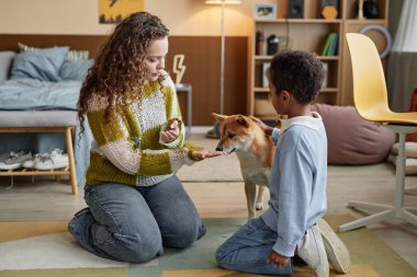 Evlat edinen anne ve küçük zenci çocuk, çocuk odasında yerde otururken Shiba Inu köpeğini eğitiyor.