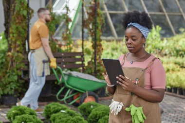 Orta boy Afro-Amerikan kadın bahçıvan önlüklü, tablet bilgisayar kullanıyor, bahçe merkezindeki bitkilerin sağlıklı ve hastalıksız olmasını sağlamak için çalıları ve çiçekleri inceliyor.