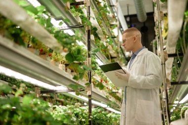 Laboratuvar önlüğü giyen adam hidrofonik sistemdeki bitki gelişimini inceliyor, kapalı tarım tesislerindeki panolarda gözlemleri kaydediyor.