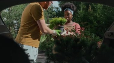 Genç siyahi kadın bitki yetiştirme işçisi genç beyaz adamın saksı bitkilerini arabaya yüklemesine yardım ederken onlara bakmanın detaylarını anlatıyor ve açık hava bahçe merkezindeki işbirliğine şükrediyor.