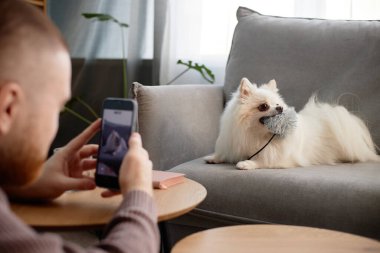 Yumuşak bir oyuncakla koltukta oturan tüylü köpeğin fotoğrafını çeken bir adam. Arka planda doğal ışıklandırmayla dolu büyük bir pencere.