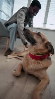 Dikey olarak, siyah erkek sahibi, pencere kenarına oturmuş, yerde yatan melez köpeğini okşuyor.