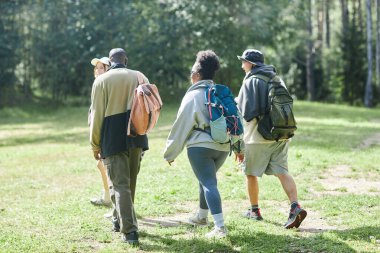 Çok ırklı arkadaş grubunun, güneş ışığıyla aydınlatılan ormanda yeşil çimlerde birlikte yürürken çekilmiş puslu bir fotoğrafı. Sırt çantalarının fotokopi alanı üzerine odaklanmış.
