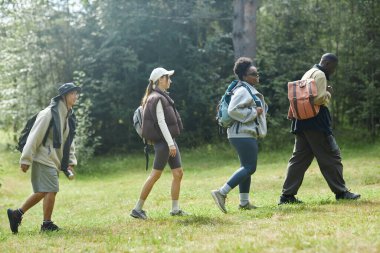 Çok ırklı bir arkadaş grubu, birlikte doğa keşfi yaparken ve yürüyüş kıyafeti giyerken orman seyahatinde.