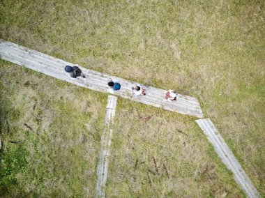 Sırt çantalı insanların arka planı ahşap yolda yürürken doğa koruma alanında yürüyüş yaparken, boşluk kopyala