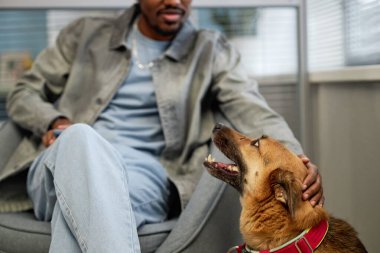 Zenci adamın, hayvan kliniğinde randevu beklerken mutlu kahverengi melez köpekleri okşayışı.