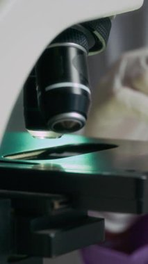 Steril eldivenli tanımlanamayan bilimsel araştırmacıların dikey kesilmiş resimleri laboratuarda mikroskop altında incelenmesi için cam kaydırağa numune koyuyor.