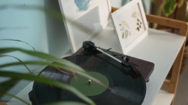 Arka planda çerçeveli botanik sanatı ile beyaz yüzeyde dinlenen, nostaljik ve sanatsal ambiyans yaratan şık vinil plaklar çalan insanlar yok.