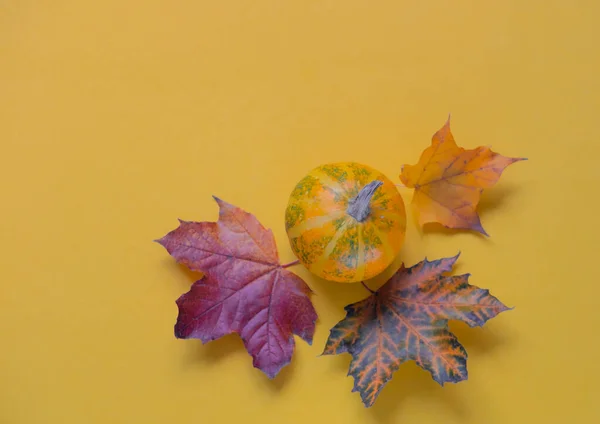 秋の葉を持つ黄色の背景に装飾的なカボチャ 感謝祭やハロウィンのコンセプト パッケージデザインのための創造的なスペース — ストック写真