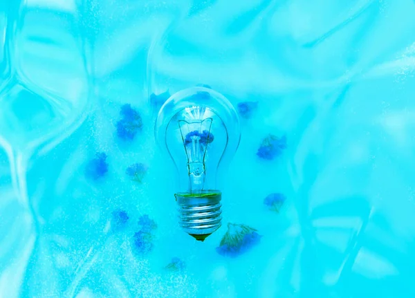 Turned off light bulb on blue background with hologram. The concept of energy saving or environmental protection. Close-up