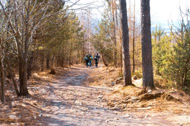 Sırt çantalı ve kayaklı genç adamlar dağlarda seyahat eder. Seyahat kavramı. 
