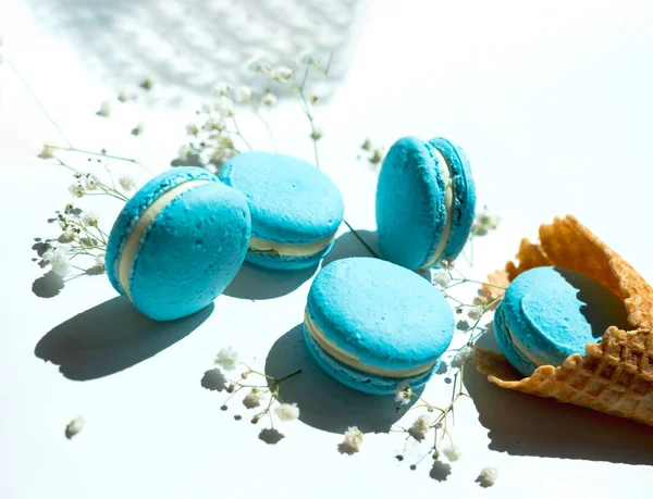 Macarons Azuis Franceses Fundo Claro Com Flores Close — Fotografia de Stock