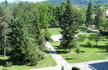 Güneşli bir günde ağaçlı, patikalı ve banklı şehir parkı manzarası. Eğlence ve spor alanı. 